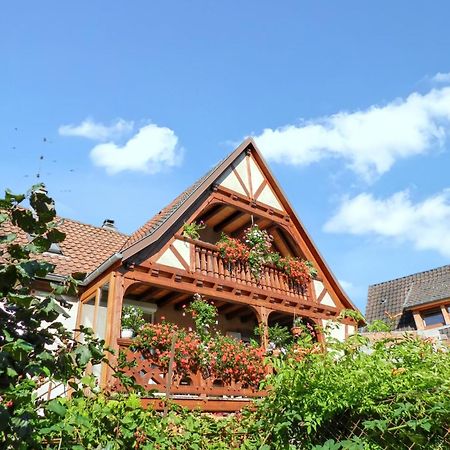 Maison Charmante Avec Vue Sur La Montagne A Triembach-Au-Val Экстерьер фото