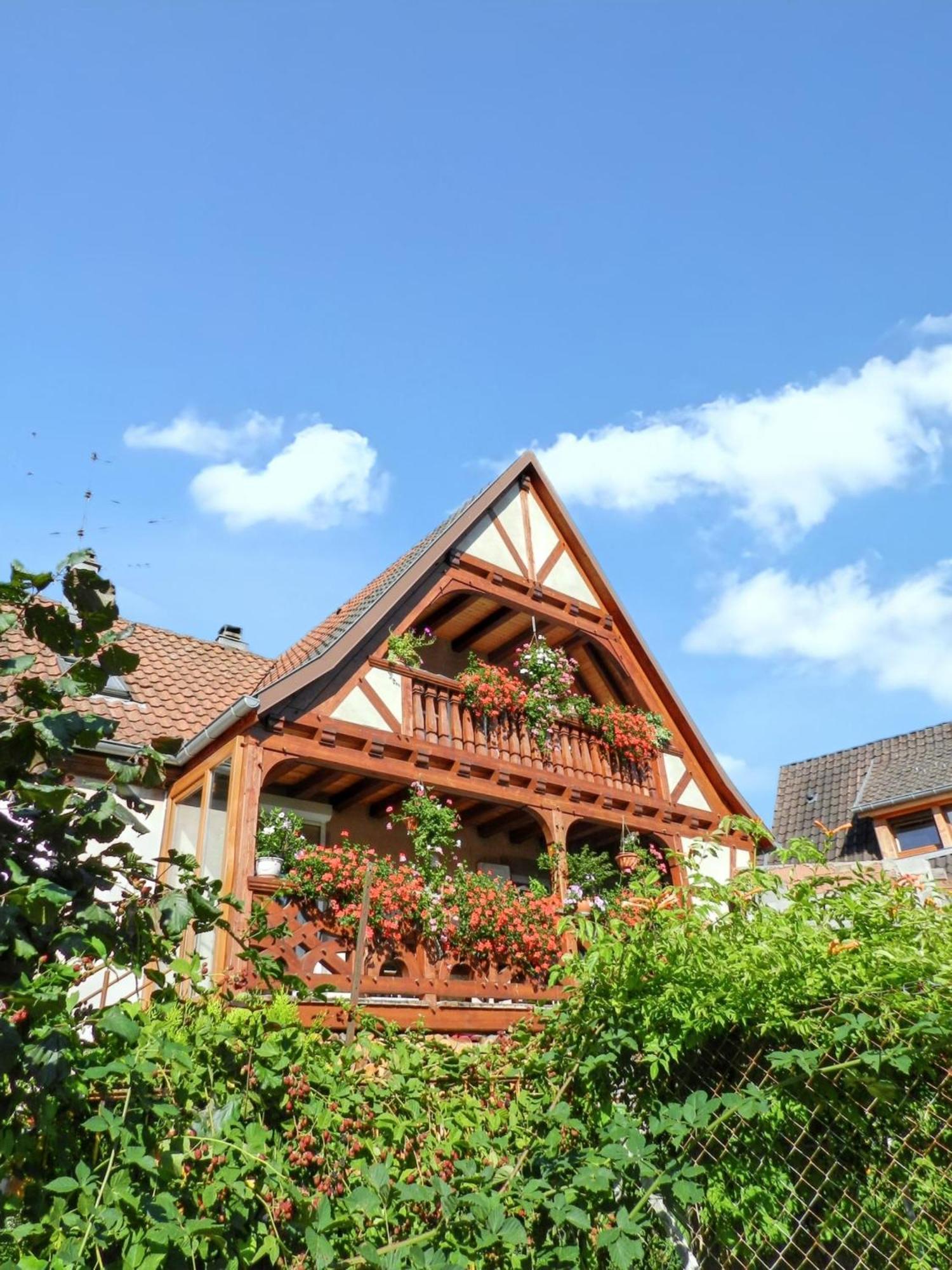 Maison Charmante Avec Vue Sur La Montagne A Triembach-Au-Val Экстерьер фото